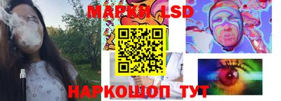 spice Тара