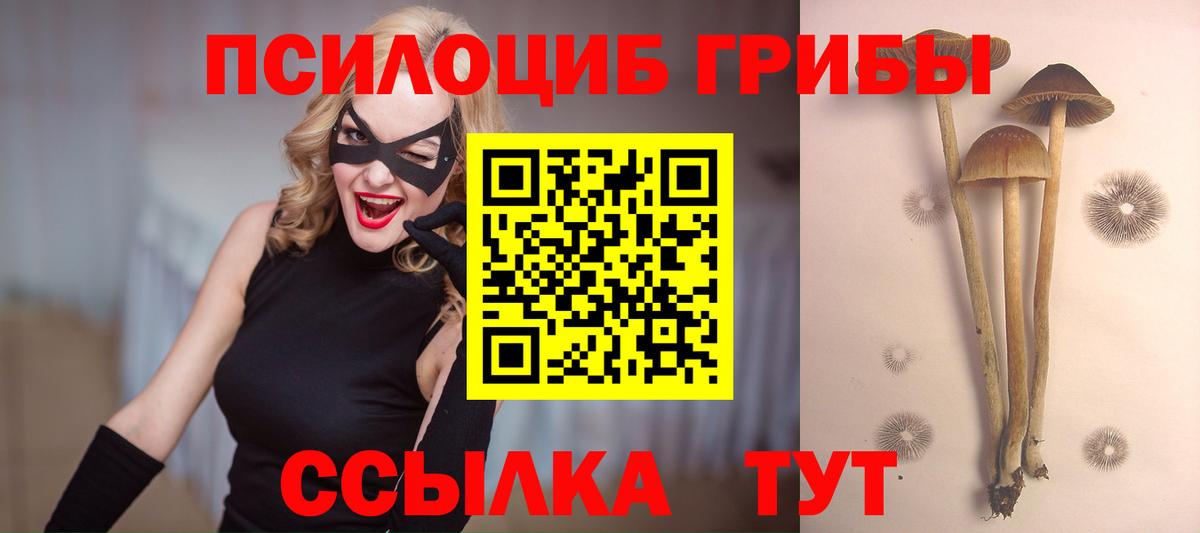 Псилоцибиновые грибы Psilocybe  Вход с VPN  Нефтеюганск 